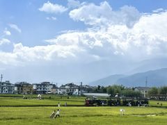 -喜林苑·稻田餐厅(品相府店)
