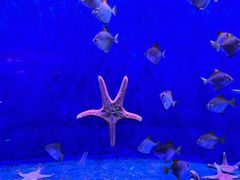 -沈阳海洋探索中心