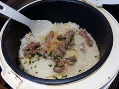 -大鸽饭(马王堆店)