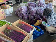 -江杨农产品批发市场