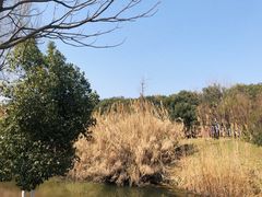 -幕燕滨江·长江观音景区