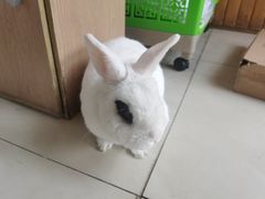 -莫多多餐厅