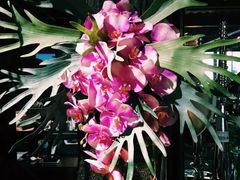 -范设计花园餐酒咖·中西餐·咖啡厅·酒馆