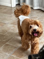 -WAVE SODA摄影工作室