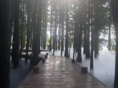 -东湖落雁景区