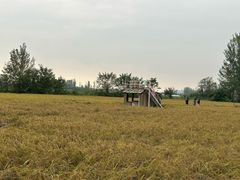 -林间山庄