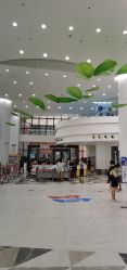 -上海市儿童医院(泸定路院区)
