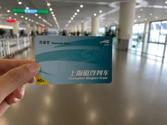 -龙阳路磁悬浮列车总站-停车场