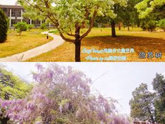 -国家植物园南园