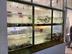 -小乡小镇·传承桐庐土菜·老板亲自烧的菜