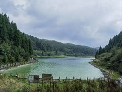 -武陵山森林公园