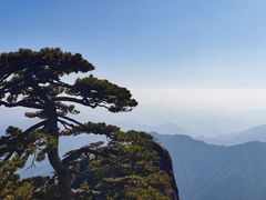 -黄山风景区