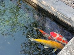 -西安市广仁寺