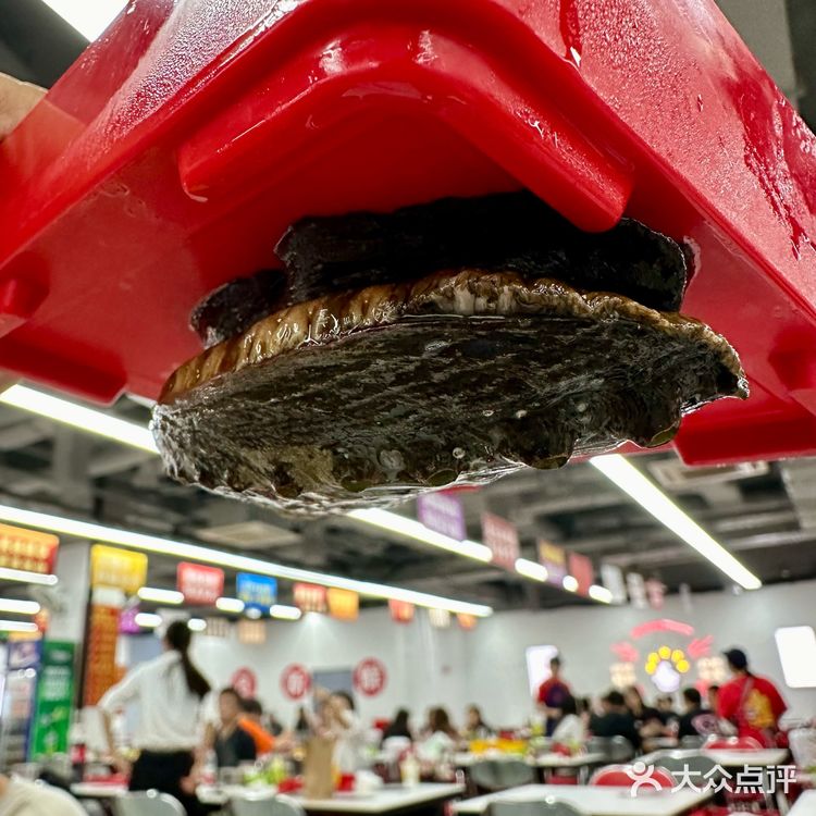 李女士又来她的食堂吃饭啦