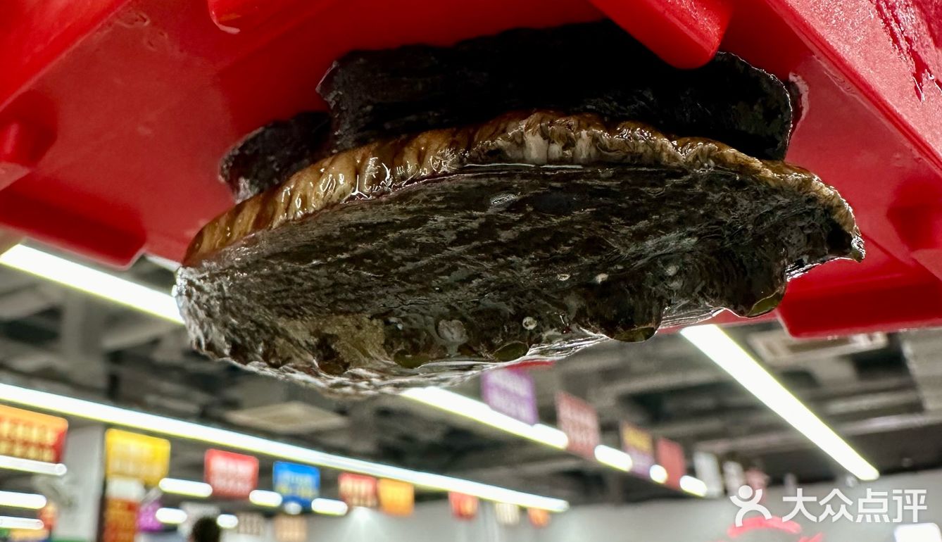 李女士又来她的食堂吃饭啦