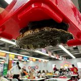 李女士又来她的食堂吃饭啦