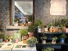 -思南书局(复兴中路店)