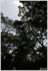 迎宾馆的环境-虹桥迎宾馆·宴会厅