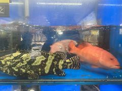 -好兄弟郭巨海鲜(天一阁店)