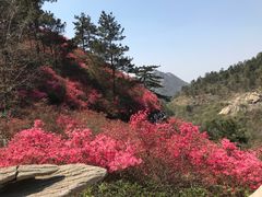 -木兰云雾山
