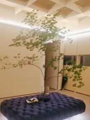 -TIME SPA科技美肤机构