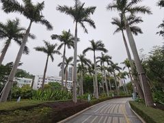 -深圳大梅沙京基洲际度假酒店