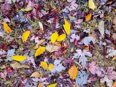 -云峰山自然风景区