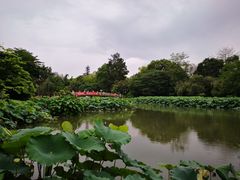 -金山公园