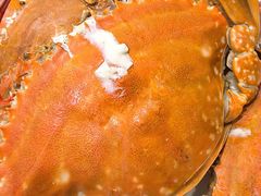 -北塘海鲜·天津菜(大光明桥旗舰店)