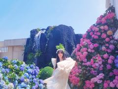 -Blue Concept Cafe&Farm·關於藍
