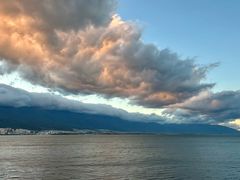 -野菌皇海景野生菌火锅(滨海大道店)