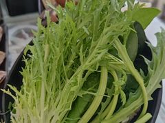 -丽江庭院之丽江往事(安定门店)