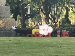 -白鹭洲公园