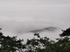 -宜城私房菜.臭鳜鱼(九华新街店)