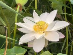 -南开大学(八里台校区)