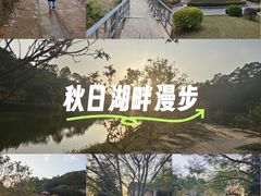 -南国桃园旅游度假区