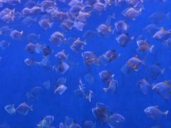 -沈阳海洋探索中心