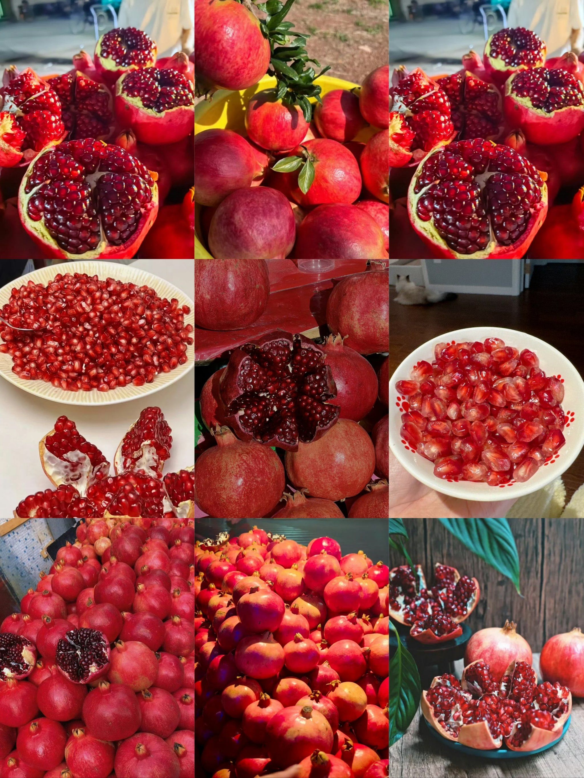 新疆石榴:甜蜜的西域瑰宝