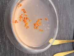 -顽啤熊·酒客酒馆(苏城夜景必选店)