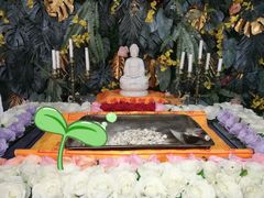 -彩虹桥宠物火化殡葬善终服务(金乐大厦店)