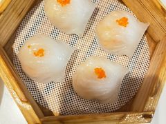 笋尖虾饺皇-粤来记·啫啫煲·点心(日月光店)