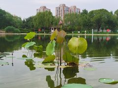 -太阳宫公园