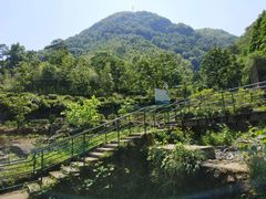 -藏龙百瀑风景区