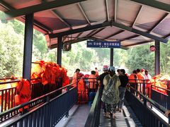 景点-将军关探险漂流