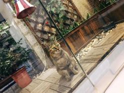 -芳朵美容养生SPA