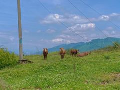 -山王坪喀斯特国家生态公园