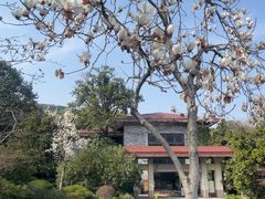 -中国茶叶博物馆(双峰馆区)