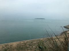-七鲜渔港美食餐厅(巽寮湾海景店)