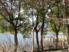 -美兰湖景区