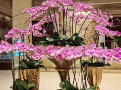 -苏州金鸡湖大酒店